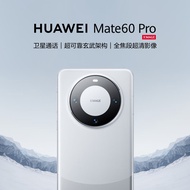 华为（HUAWEI）旗舰手机 Mate 60 Pro 12GB+1TB 白沙银