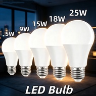 E27 LED light bulb 5W/9W/15W/18W/25W White Light LED Bulb Energy-saving bulb light