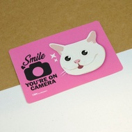 喵拍【防水防曬可重貼】膠質貼紙 / 車身貼紙