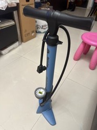 Bike pump (Genuine Innovations)