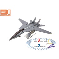 3d Assembled Model F-14 Tomcat Inoculation