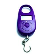 Mini Digital Scale 25Kg 5G Electronic Fishing Weight Pocket Luggage Scales Hanging Hook LCD
