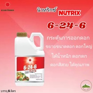 ปุ๋ยน้ำ 6-24-6 (แกลลอน 5 ลิตร)สูตรไม้ดอก บำรุง เร่งออกดอก ดอกสวย-ใหญ่(1ลังมี4แกลลอน) ดวงตะวันเพชร #แ