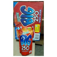 ♞Zesto Big 250 Apple Drink (250ml x 10 packs)