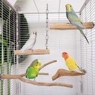 Parrot Bird Stand Pole Perch Log Natural Hardwood Stand Stick Stand Tree Branch Perch Stand
