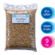 ข้าวเปลือกไก่ 9 กิโลกรัม ข้าวปลอดสารพิษ ปลูกเอง สำหรับไก่บ้าน ไก่ชน ไก่พื้นเมือง