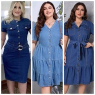 WLS Denim dress korean fashion Denim dress