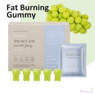 KITOKETO ZERO SUGAR Shine MCT Gummy (14p) - Inner Beauty Jelly with Collagen & Apple Cider | Fat Bur