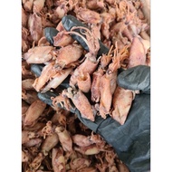 Sotong kering Cumi-cumi tempatan ‼️dried squid🦑 | lembut ✅ bersih & berkualiti ✅ dijamin HALAL ✅