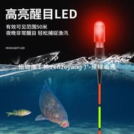 【高端現貨】超輕電子頭夜光棒漂尾燈LED發光棒夜釣漂釣魚浮漂豆CR311電池ins