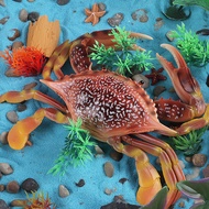 Educational Cognitive Simulation Large Crab Model, Hermit Crab Toy, King Crab, Chinese Hairy Crab, M