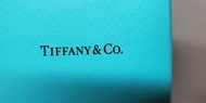 Tiffany & Co 1837 Ring Titanium 鈦金屬介