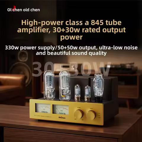BREEZE Old Chen 845 High Power Class A Single-ended HiFi Fever Direct Coupling 845 Gallbladder Elect