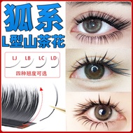 LC-Shaped Fox Eyelashes 007 Single Multi-Pick-Up Cat Series Do Not Lose Roots Super Soft Wide-Angle 