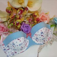 Wacoal Hello Kitty Bra