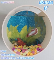 AQUARIUM DINDING 6"/AQUARIUM MINI/AQUARIUM IKAN CUPANG/AQUARIUM PVC AKRILIK