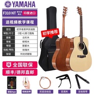 Yamaha | Beginner Folk Guitar