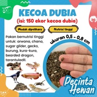 150 ekor Kecoa Dubia Anakan Makanan Hewan Peliharaan arwana chana