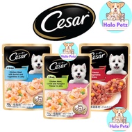 CESAR Dog Pouch 70g / Crafted Wet Food -Dog Food -