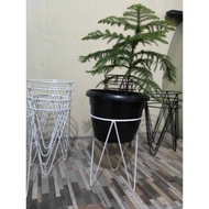 Standing Iron Flower Pot. Minimalist Flower pot Holder