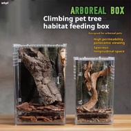 WKPFR893 1Pcs Reptile Feeding Box, High Transparent Anti-Escape Ecological Desert Landscaping Box, D