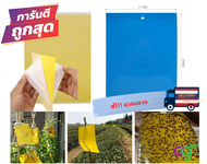 แผ่นกาวดักแมลง ขนาด 15x20 ซม. กาวเหนียว กับดักแมลงวันทอง หวี่ขาว สีเหลือง/สีฟ้า กาวเหนียน ทนแดด ทนฝน