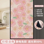 Full Blockage Privacy Glass Film Anti Glare Bathroom Kitchen Door Shade