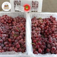 Ready Gan Buah Anggur Red Globe 1 Krat / Buah Anggur Import Ready Gan