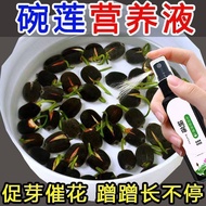 Bowl Lotus Dedicated Nutrient Liquid Water Lily Fertilizer Universal Water-Soluble Fertilizer Hydrop