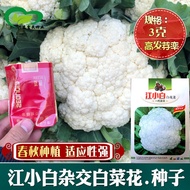 Jiang Xiaobai Miscellaneous White Cauliflower Seeds Cauliflower Seeds Cauliflower Seeds Cauliflower 