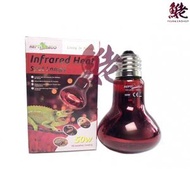 REPTI ZOO - REPTIZOO 紅外線加熱燈 50W＃R63050