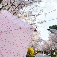 日本日系櫻花 極細鋼筆傘 輕量手開折疊傘 抗UV防風晴雨傘