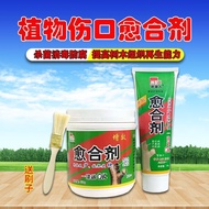 Plant Wound Healing Agent Tree Coating Fruit Grafting Medicine Injury Cut Cream Bonsai Universal Stump Preservative