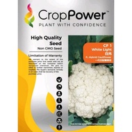 Benih Kobis Bunga CF1 WHITE LIGHT