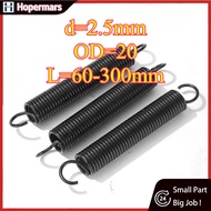 Tension spring/spring d=2.5mm,OD20mm,L=60~200mm tension springs with hooks,apply to garage door,bunn