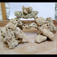 Karang laut dead rock (size 6cm up)