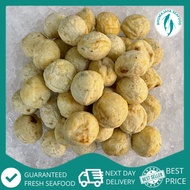 Frozen Takoyaki Octopus Ball 章鱼丸 Bebola Sotong Kurita Takoyaki  (10-40pcs) | Rhumajaya Fresh Frozen 