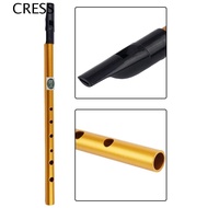 CRESS Irish Whistle Flute, 6 Hole Professional Ireland Flute, Musical Accessories Gift Alloy Musical