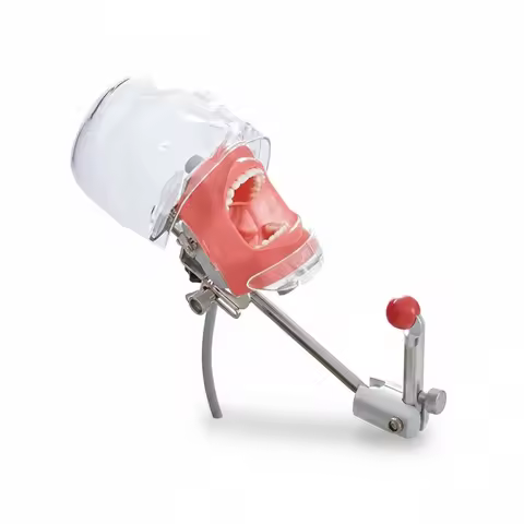 Dental Simulator, Steel Metal, 57x44.5x43cm, Phantom Head, Detachable Tooth Model, Dental Training M