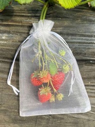 10個裝水果保護網袋,防鳥網袋無花果,柿子,草莓,藍莓和櫻桃