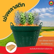 เข่งพลาสติก เบอร์ 2, 3, 4 คละสี (ราคาต่อ 1 ใบ) Plastic basket ตะกร้า พลาสติก ตะกร้าผลไม้ เข่งทุเรียน