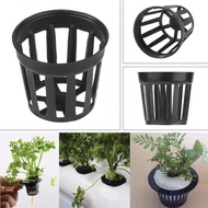 Durable Hydroponic Basket Cup Aquatic Plant Pot Aquarium Plants Aquascape Decoration Tank