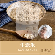Barli Barley Seeds [37.5g] Herbs Herbs (Earloop)
