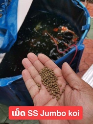 📦 อาหารปลาคาร์ฟ Jumbo KOI ขนาด 5kg 10 kg เพิ่มขนาดเม็ดใหม่ SS สำหรับ Tosai