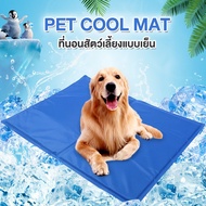 Super home shop Pet Cool mat Gel Sheet Mattress For Dogs And Cats MD Size 19.5x25.6 mat-23sep-J1 Mod