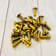 THAILAND 🇹🇭 (1BIJI) SKRU DISK YAMAHA DISC PLATE SCREW GOLD TITANIUM UNIVERSAL M8x20 SIZE SKRU Y15ZR 