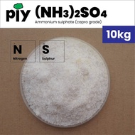 [10kg] AS Ammonium sulfat 21-0-0 (Gred Capro) / Ammonium sulphate (Capro Grade) / 硫酸铵(Capro级)