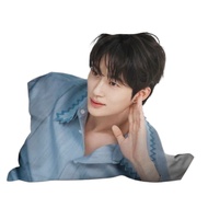 [seonjae] Double-Sided Cushion, 45x45cm, 1pc / Korean Double-Sided Cushion / Versatile Design by Glo