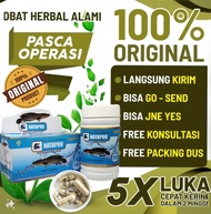 Kapsul Ekstrak Ikan Kutuk Gabus Original 50 Kapsul Ikan Kutuk Premium Albumin Ikan Gabus Obat Herbal