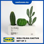IKEA FEJKA Artificial Potted Cactus Plant Set of 3